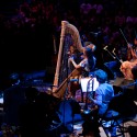Joanna Newsom © KLRU photo by Scott Newton