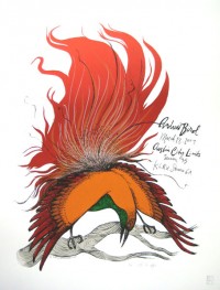 Andrew Bird Season 35 by Diana Sudyka