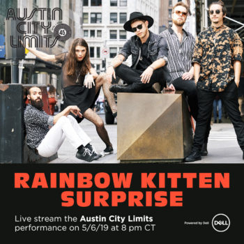 RainbowKittenSurprise_Livestream_45_square